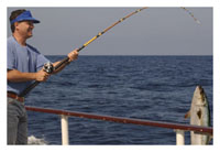 Fishing Tour in Dubai