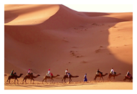 Pyramids & Sakkara with Camel & Jeep Safari