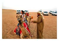 Pyramids, Sakkara with Camel & Jeep Safari
